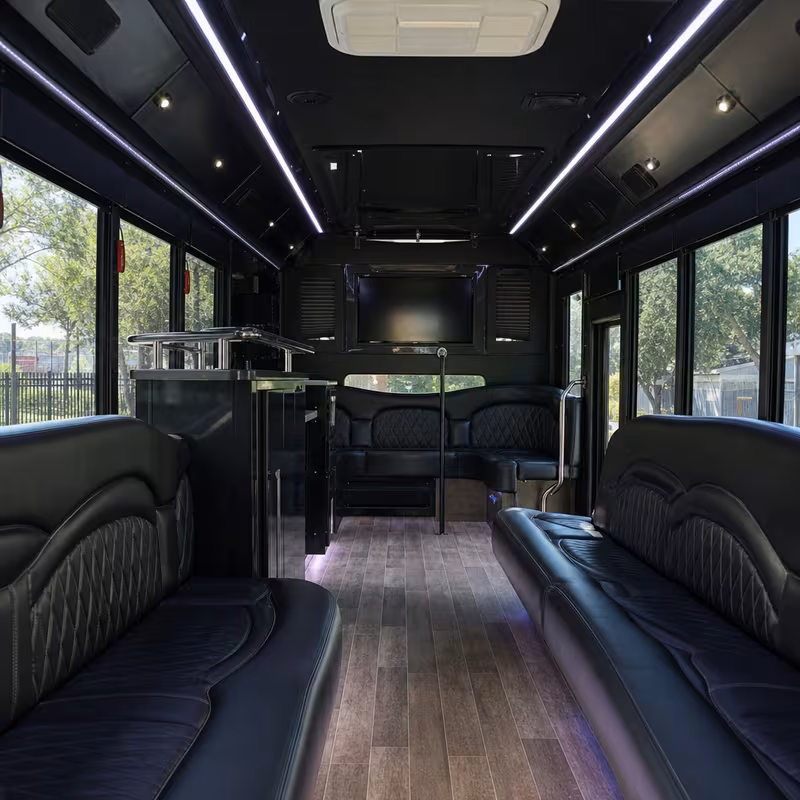 Passenger watching the Fort Wayne scenery during a regional party bus road trip