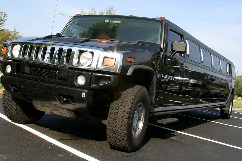 Fort Wayne 20 Passenger Limo